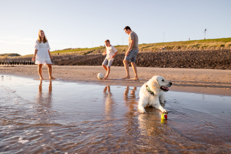 Gezin speelt op het strand in Zeeland