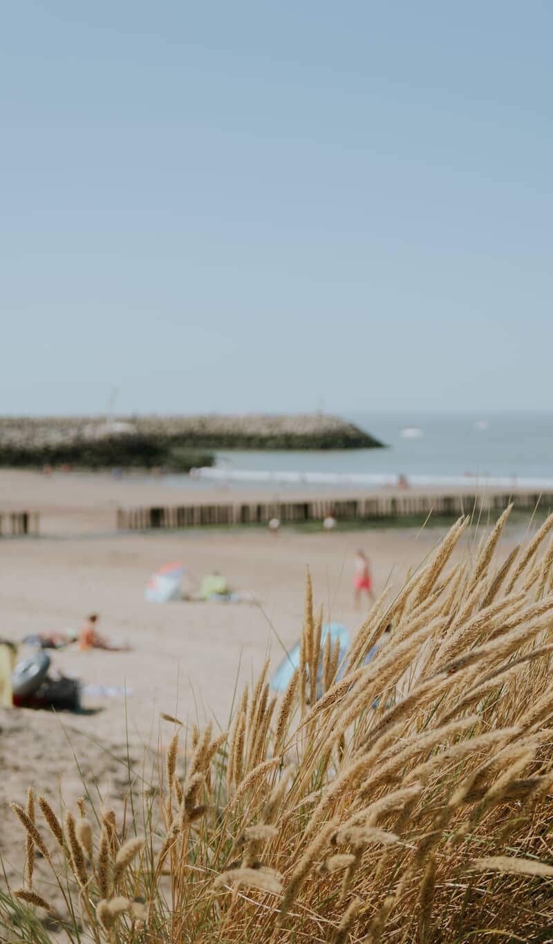 Strand Cadzand